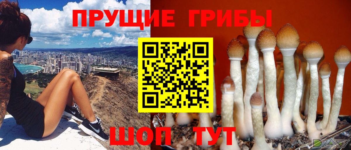 закладки  Вход с VPN  Зеленокумск  Галлюциногенные грибы Psilocybe 